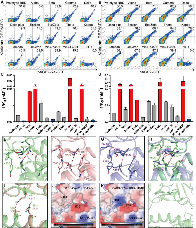 Int J Biol Sci Image