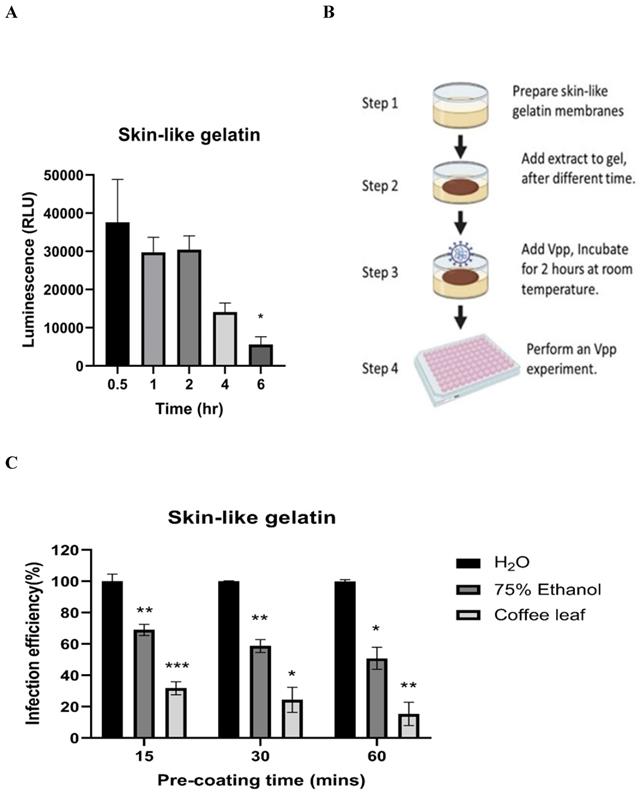 Int J Biol Sci Image