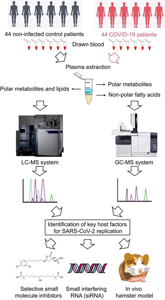 Int J Biol Sci Image