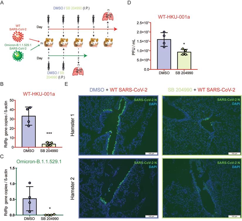 Int J Biol Sci Image