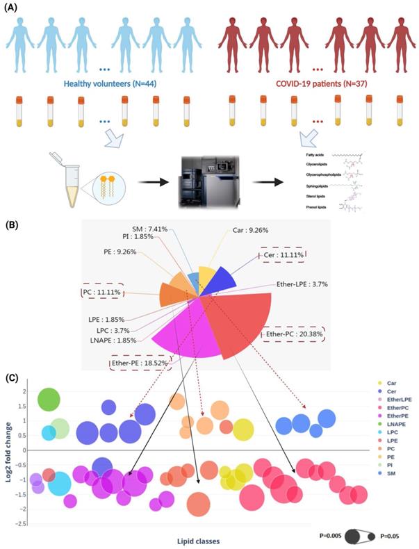 Int J Biol Sci Image