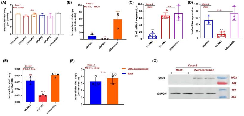 Int J Biol Sci Image