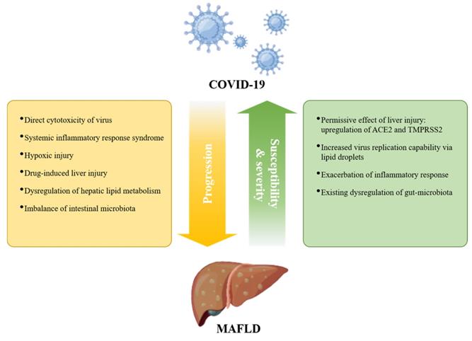 Int J Biol Sci Image