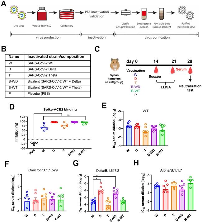 Int J Biol Sci Image