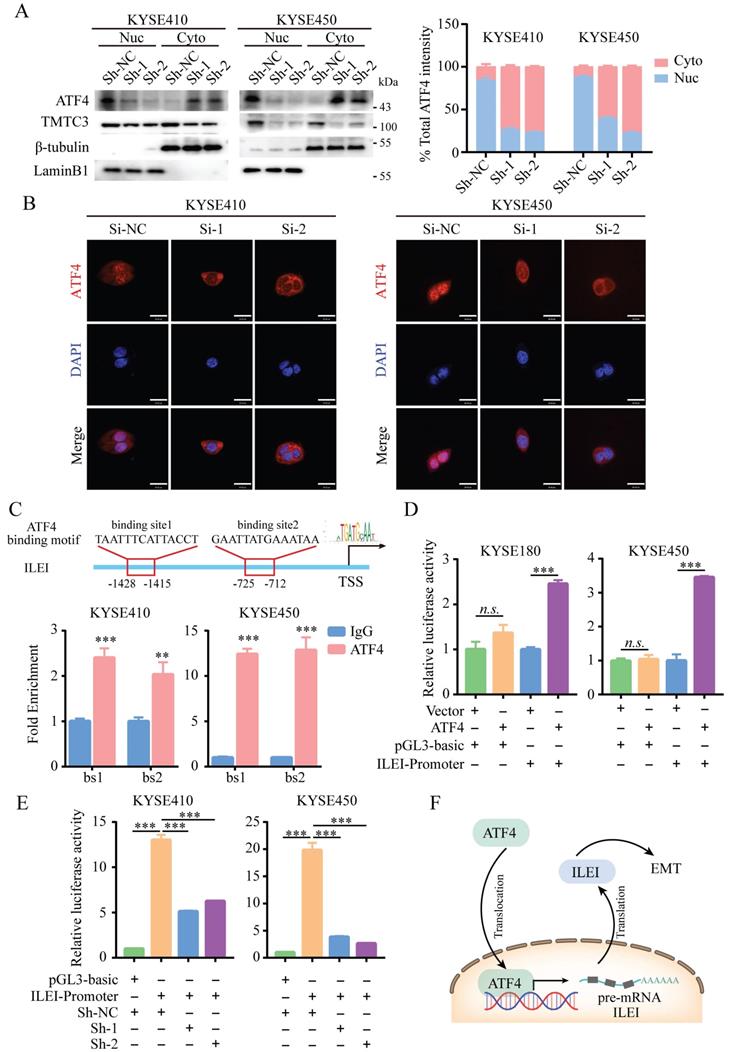 Int J Biol Sci Image