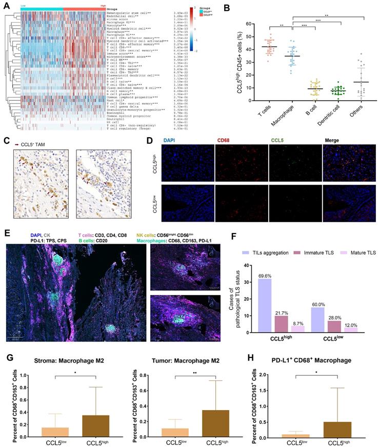 Int J Biol Sci Image