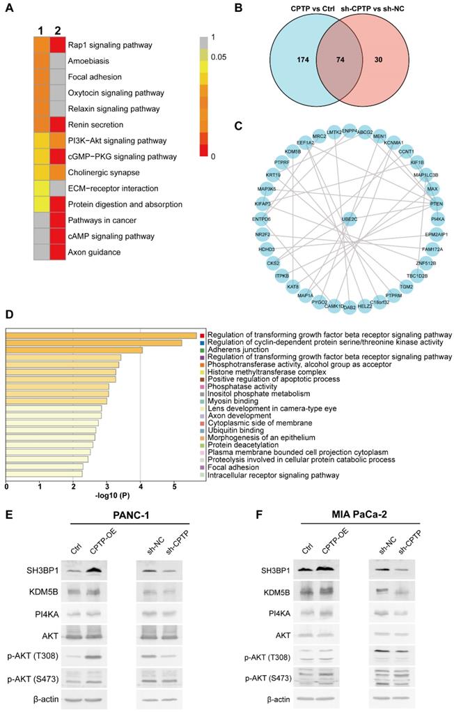 Int J Biol Sci Image