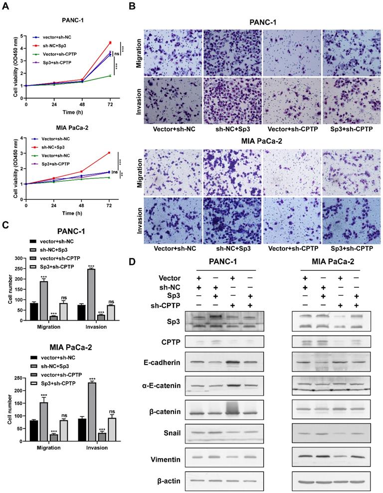 Int J Biol Sci Image