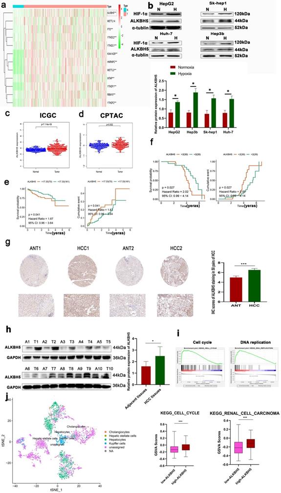 Int J Biol Sci Image