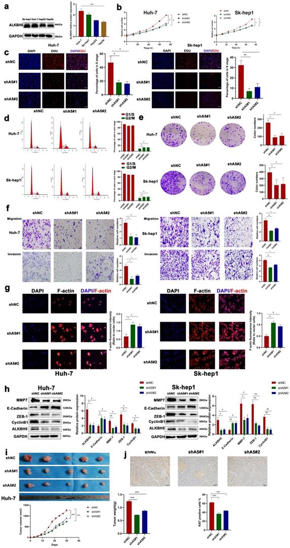 Int J Biol Sci Image