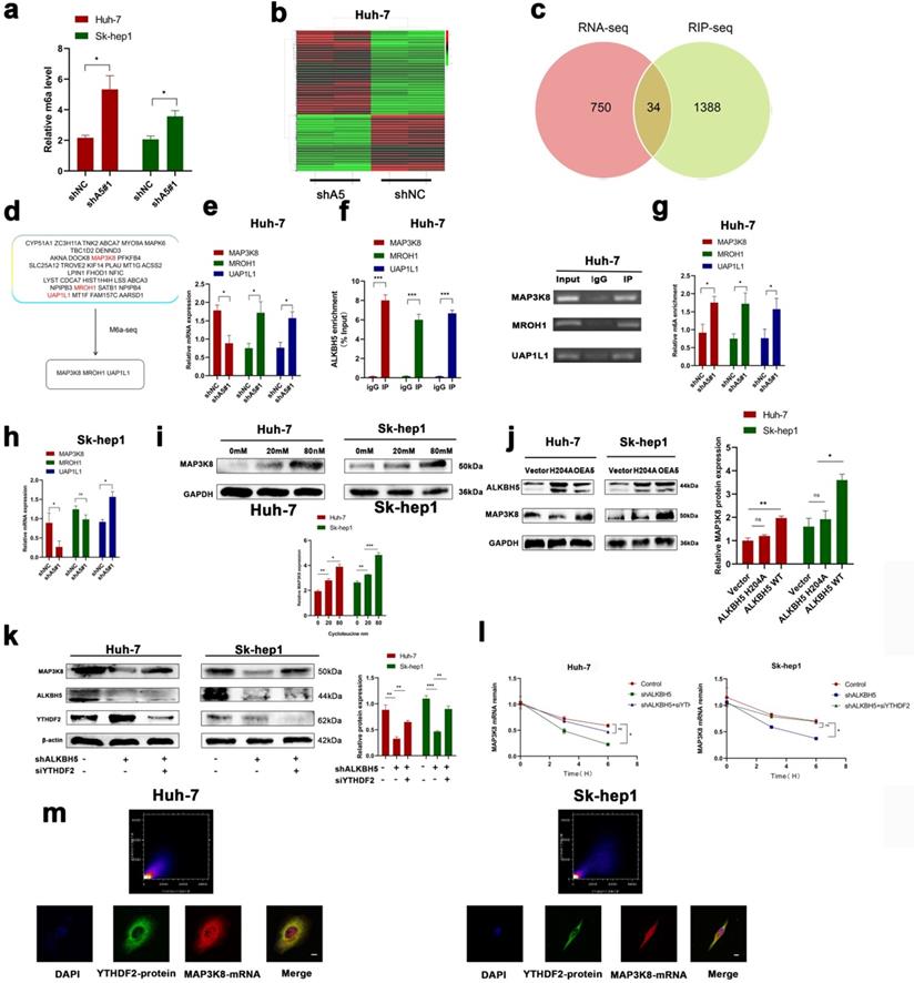 Int J Biol Sci Image