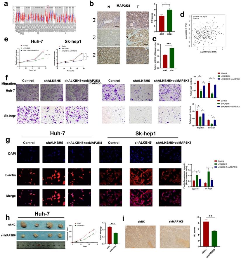 Int J Biol Sci Image