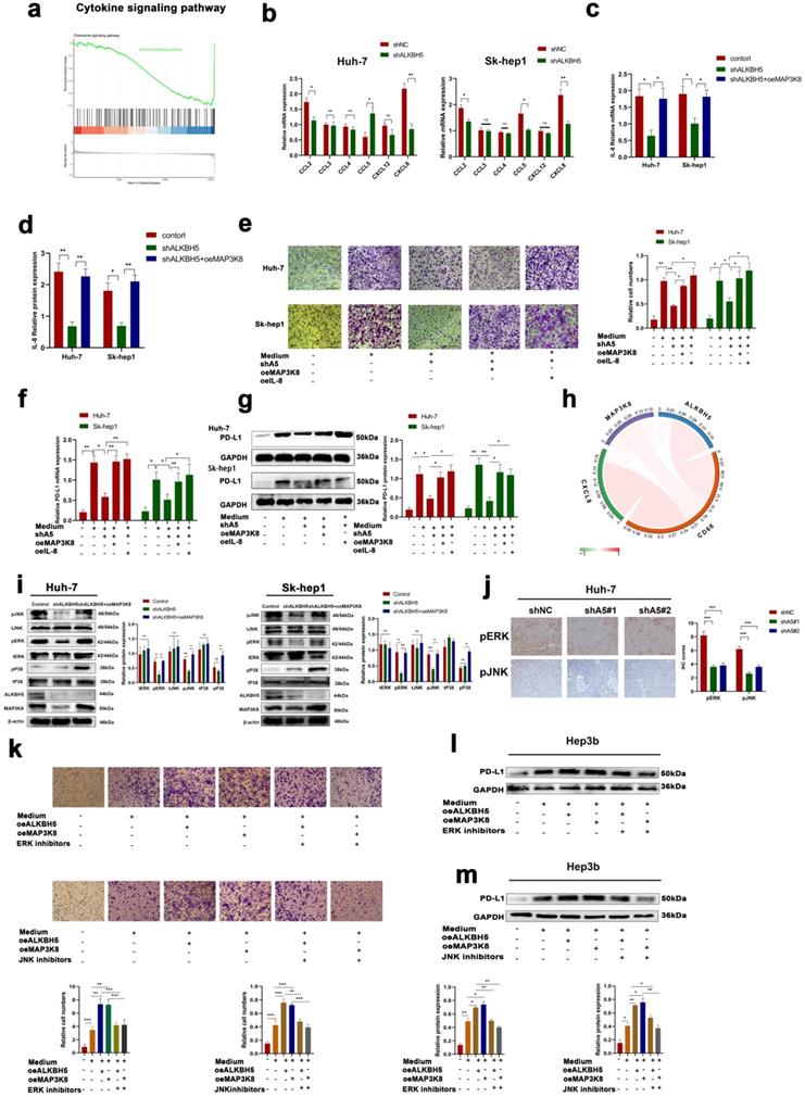 Int J Biol Sci Image