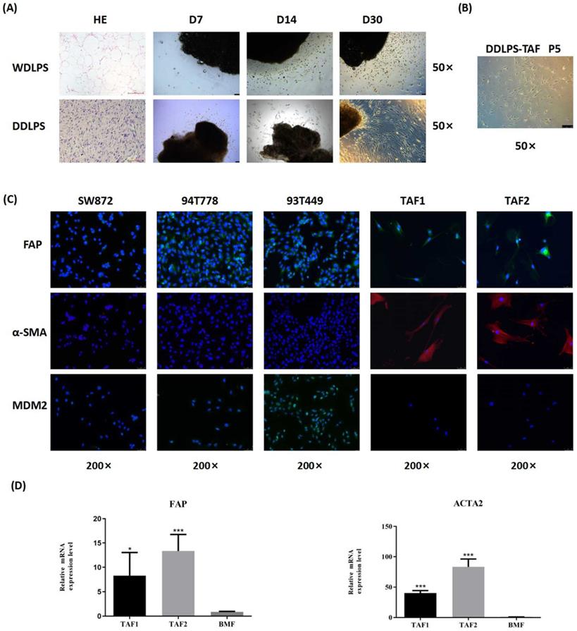 Int J Biol Sci Image