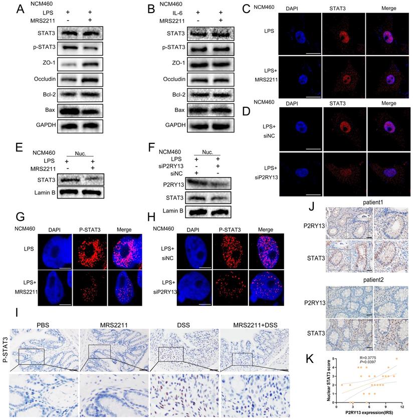 Int J Biol Sci Image