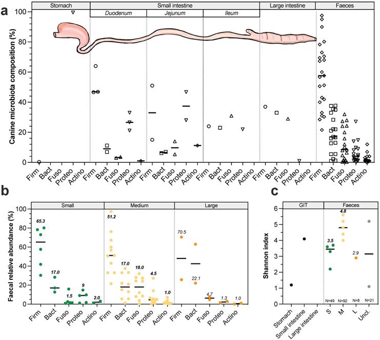 Int J Biol Sci Image