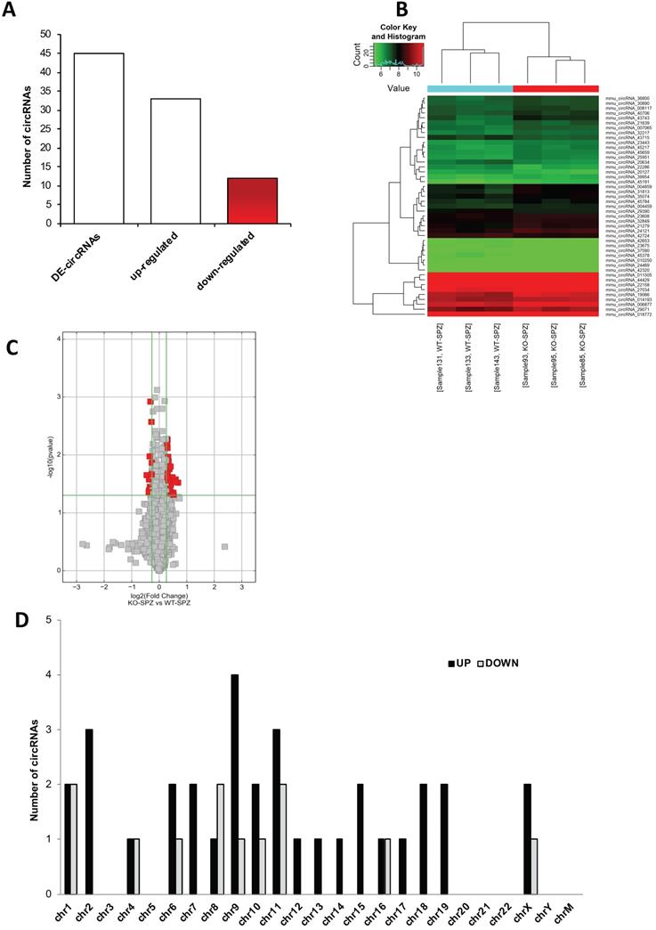 Int J Biol Sci Image