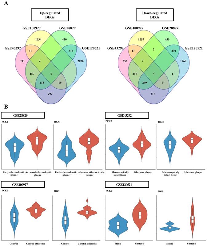 Int J Biol Sci Image