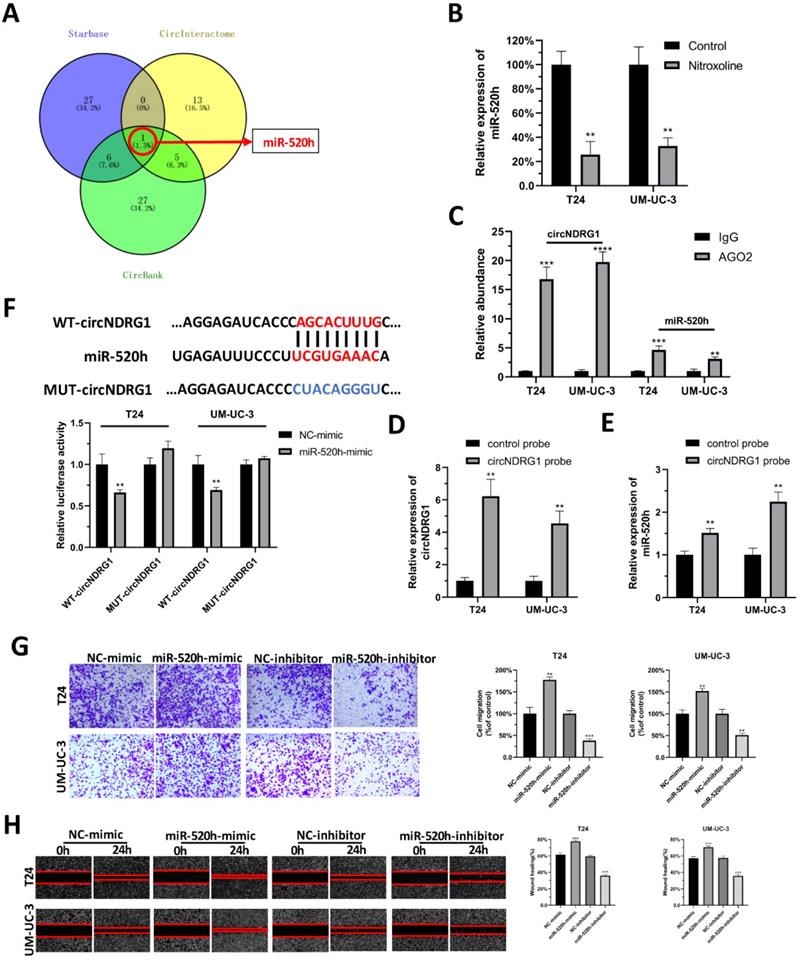 Int J Biol Sci Image