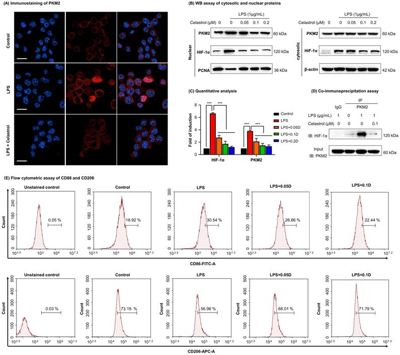 Int J Biol Sci Image