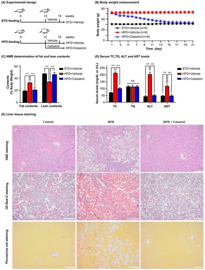 Int J Biol Sci Image