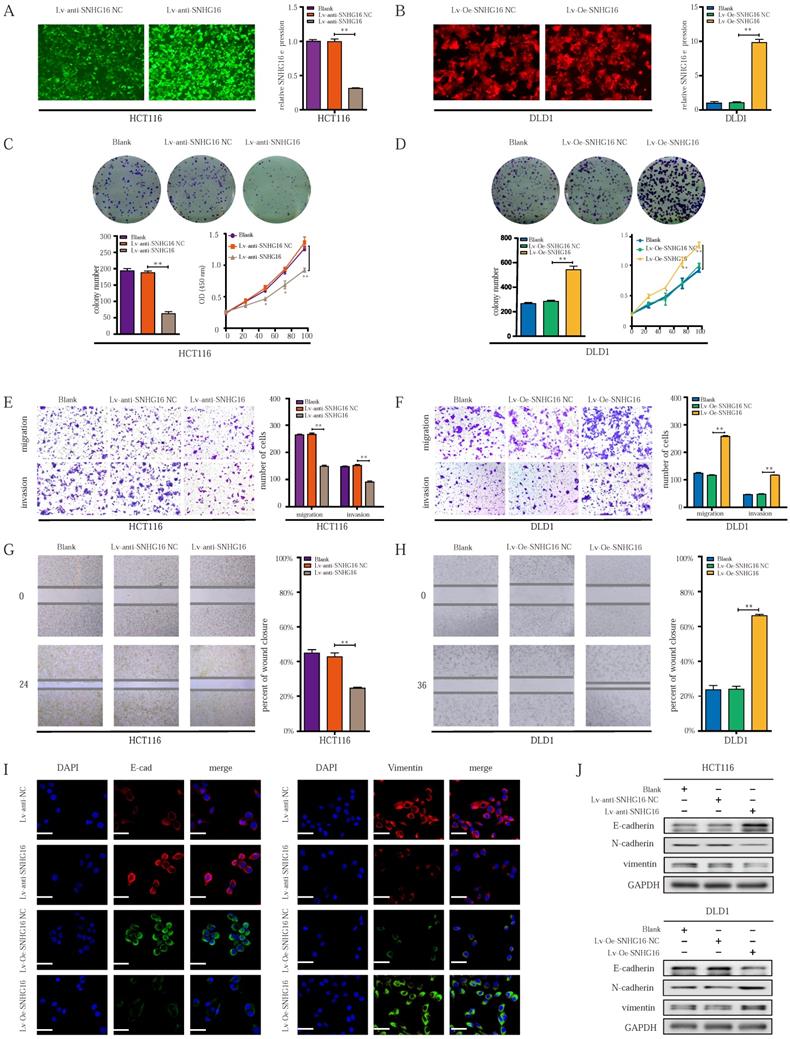 Int J Biol Sci Image