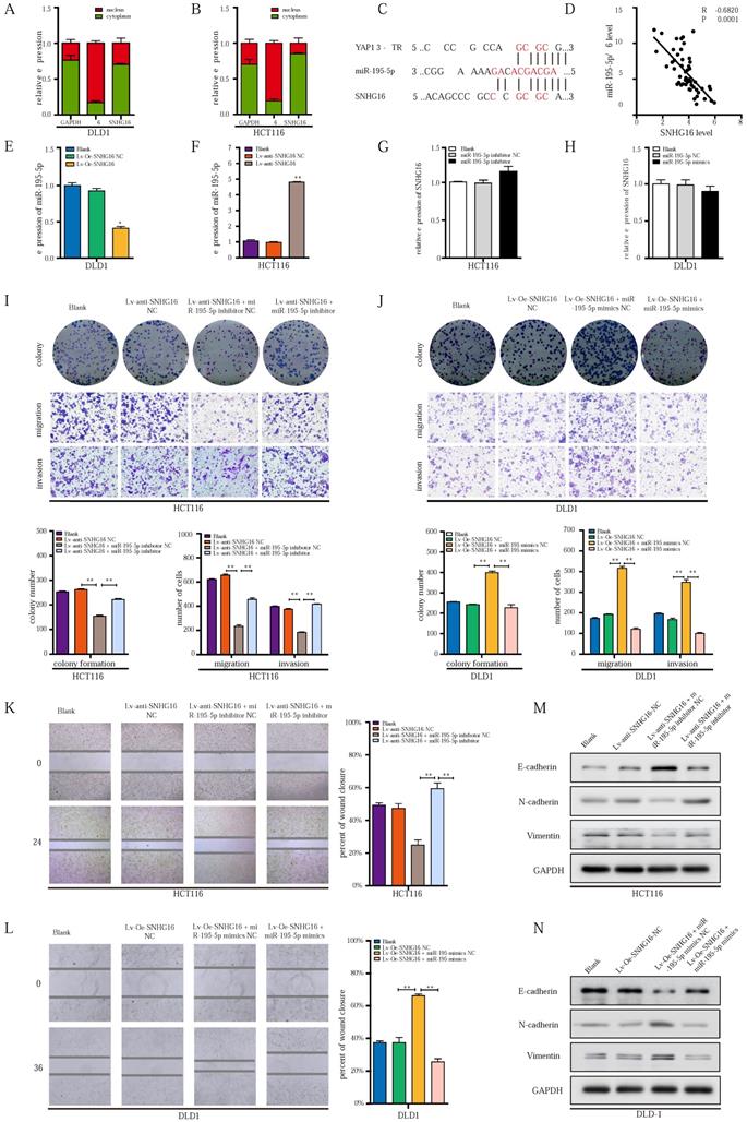 Int J Biol Sci Image