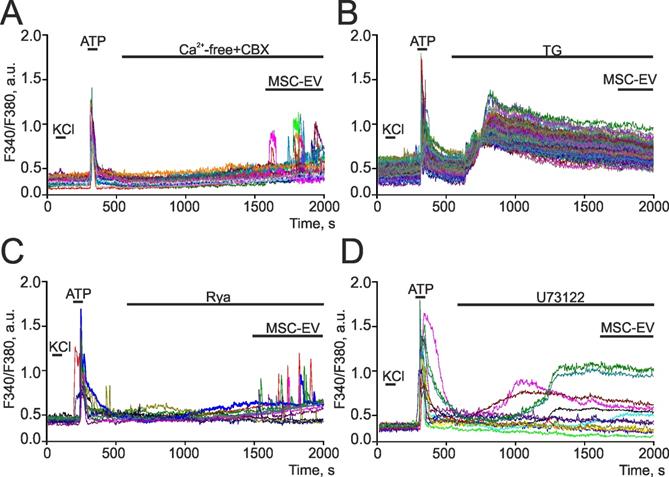 Int J Biol Sci Image