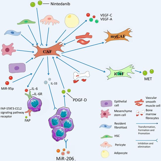 Int J Biol Sci Image