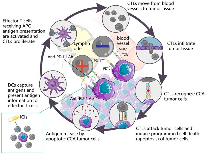 Int J Biol Sci Image