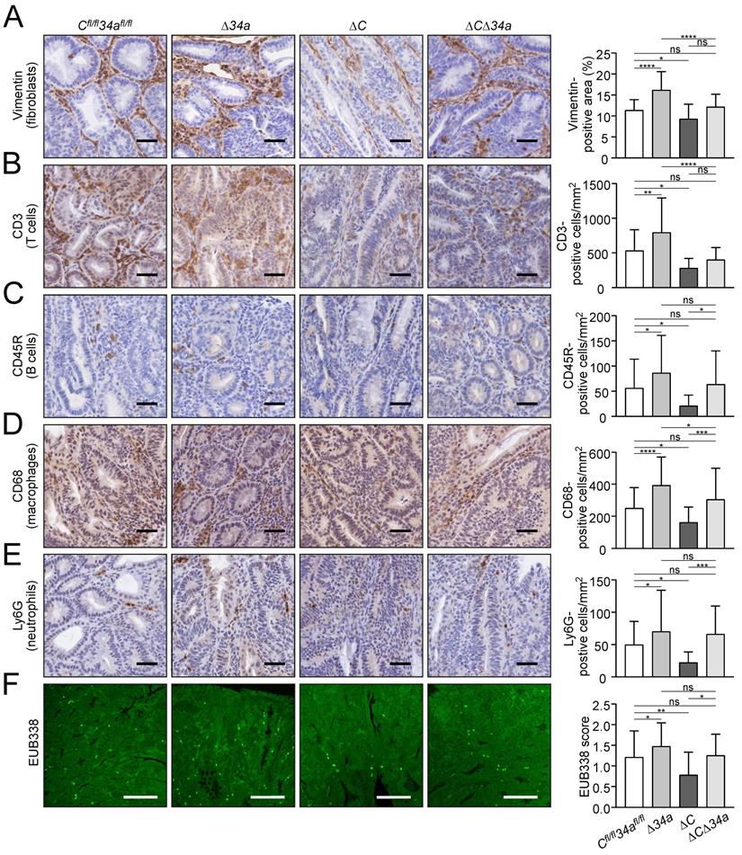 Int J Biol Sci Image