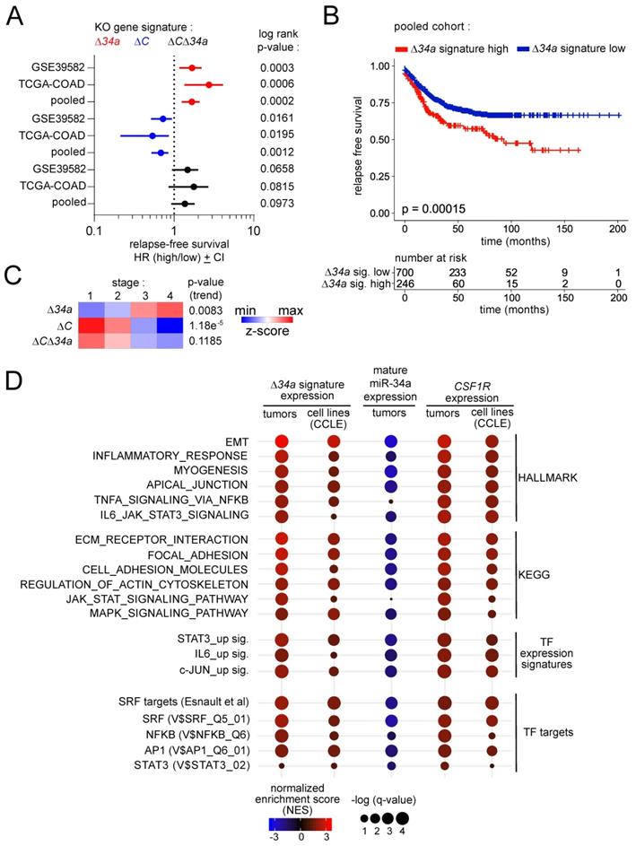 Int J Biol Sci Image