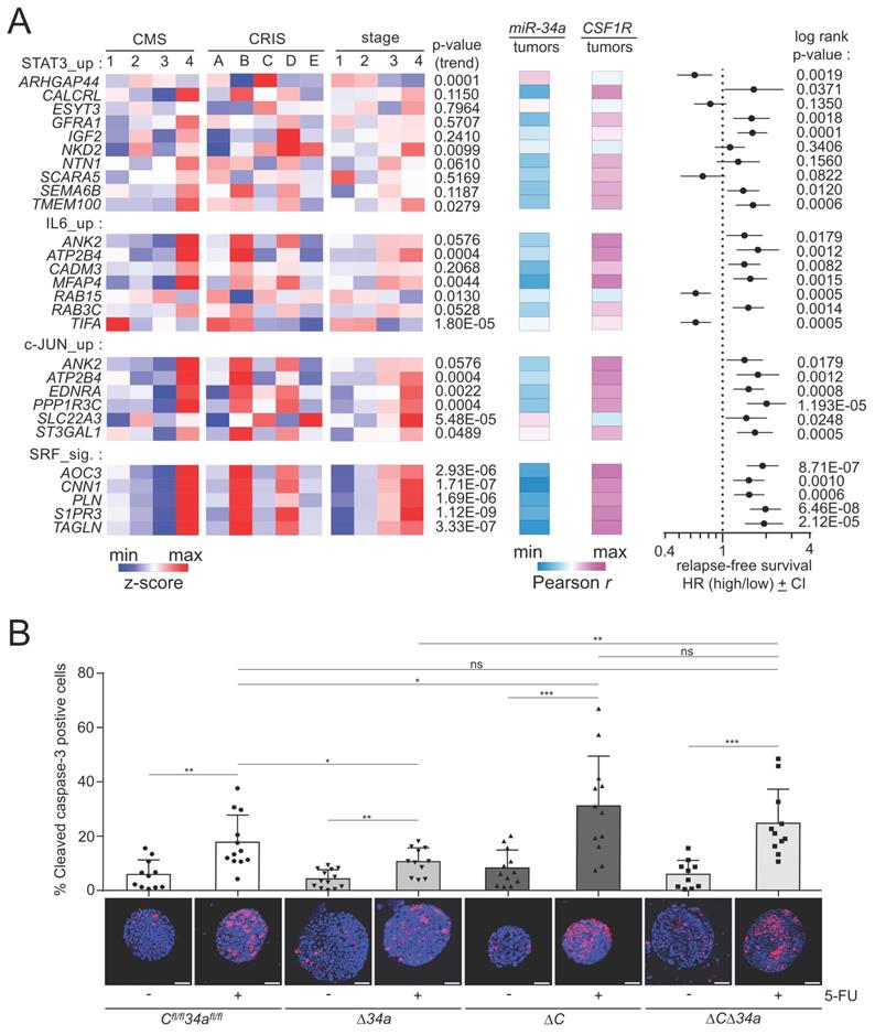 Int J Biol Sci Image