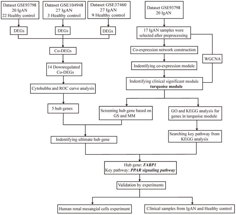 Int J Biol Sci Image