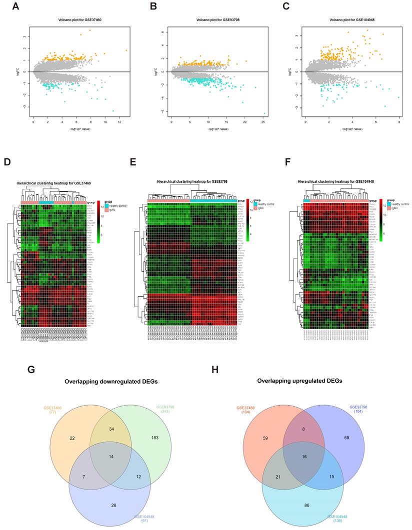 Int J Biol Sci Image