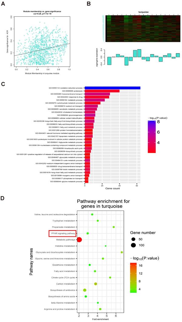 Int J Biol Sci Image