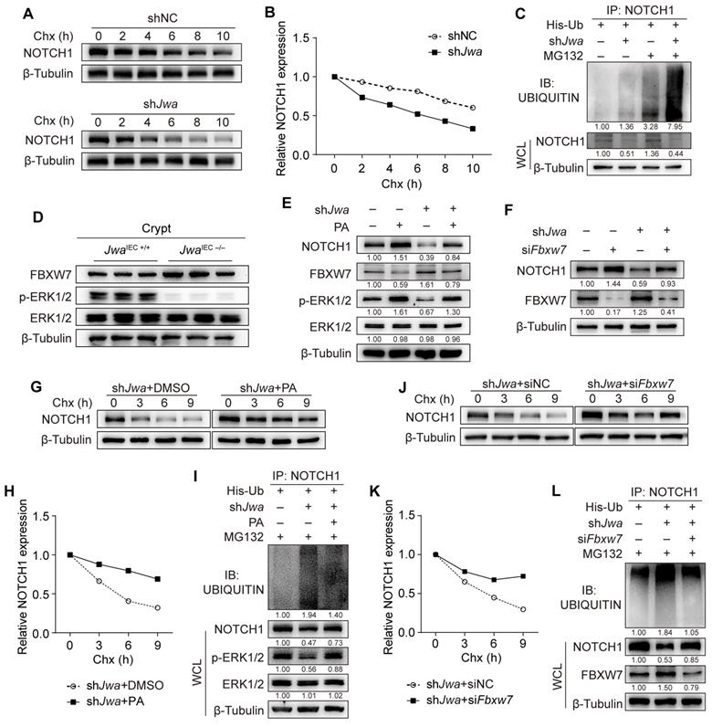 Int J Biol Sci Image