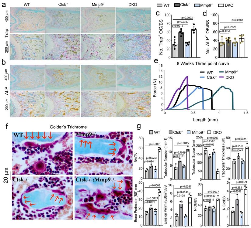 Int J Biol Sci Image