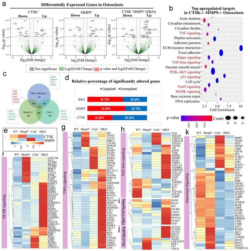 Int J Biol Sci Image