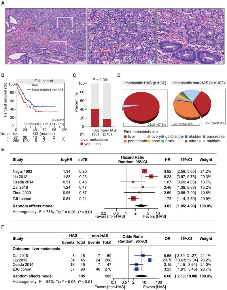 Int J Biol Sci Image