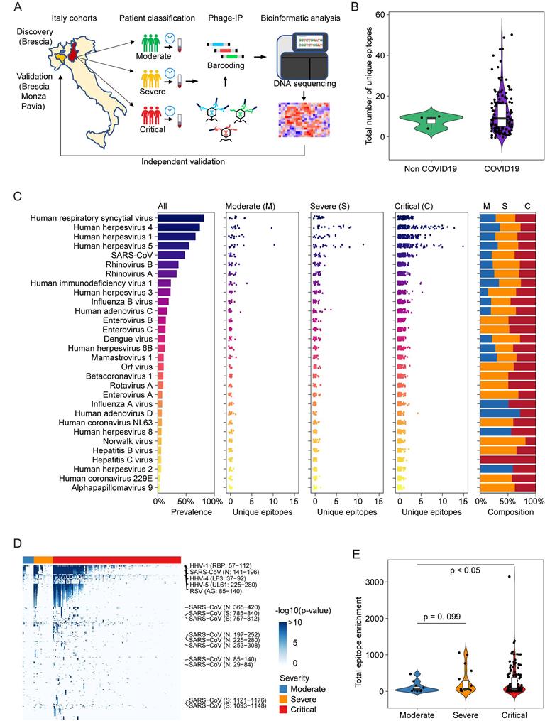 Int J Biol Sci Image