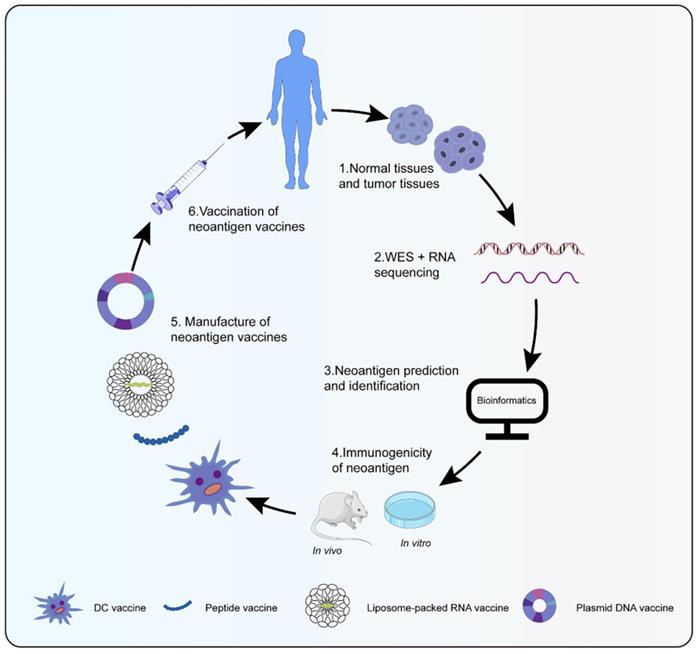 Int J Biol Sci Image