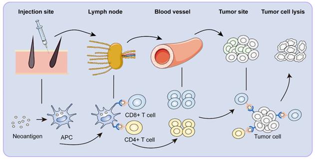 Int J Biol Sci Image