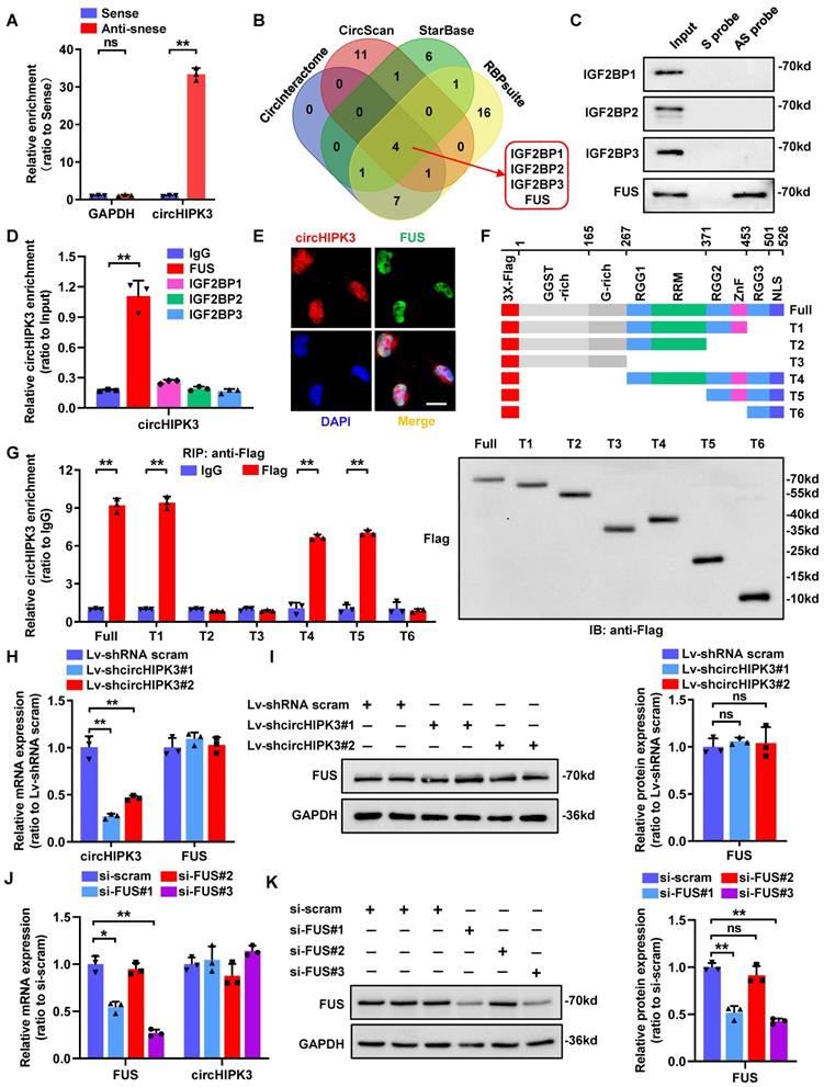 Int J Biol Sci Image