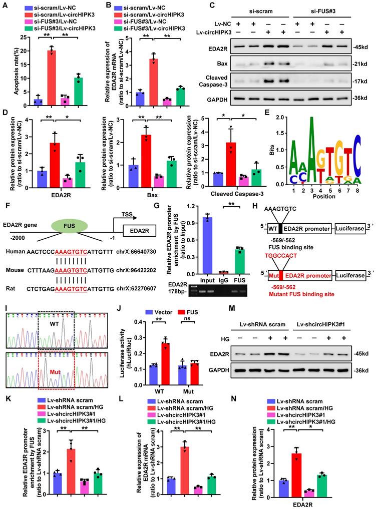 Int J Biol Sci Image