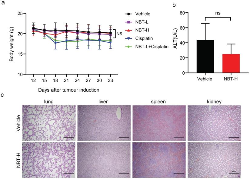 Int J Biol Sci Image