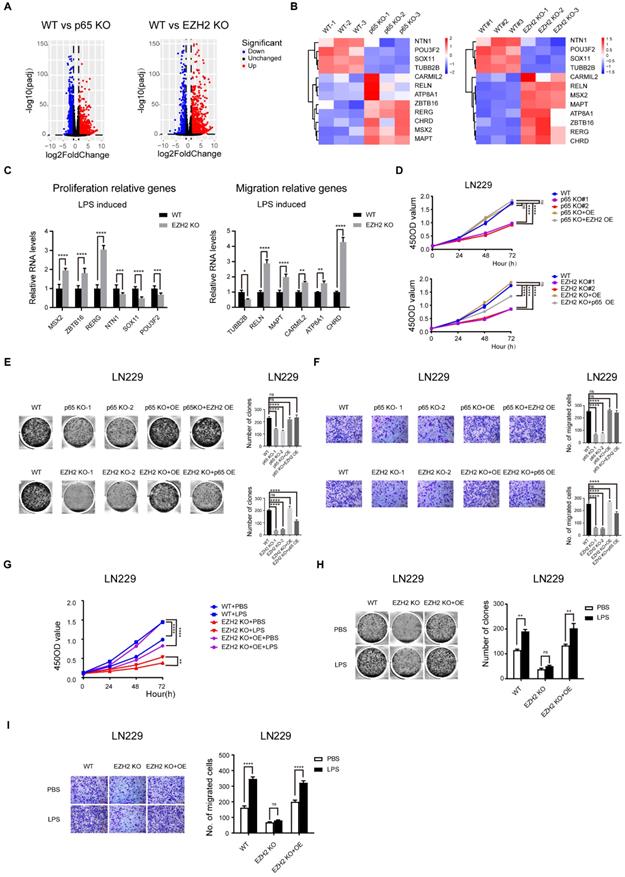 Int J Biol Sci Image