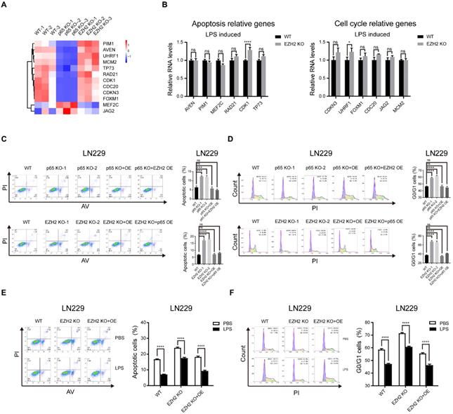 Int J Biol Sci Image