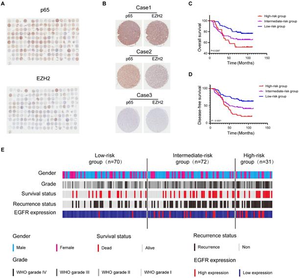 Int J Biol Sci Image