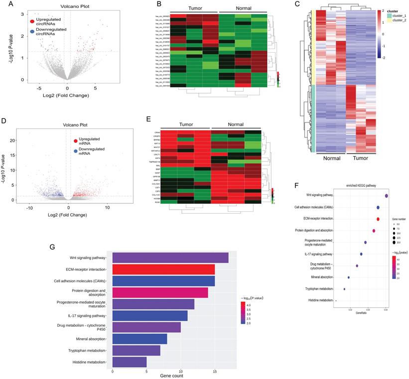 Int J Biol Sci Image